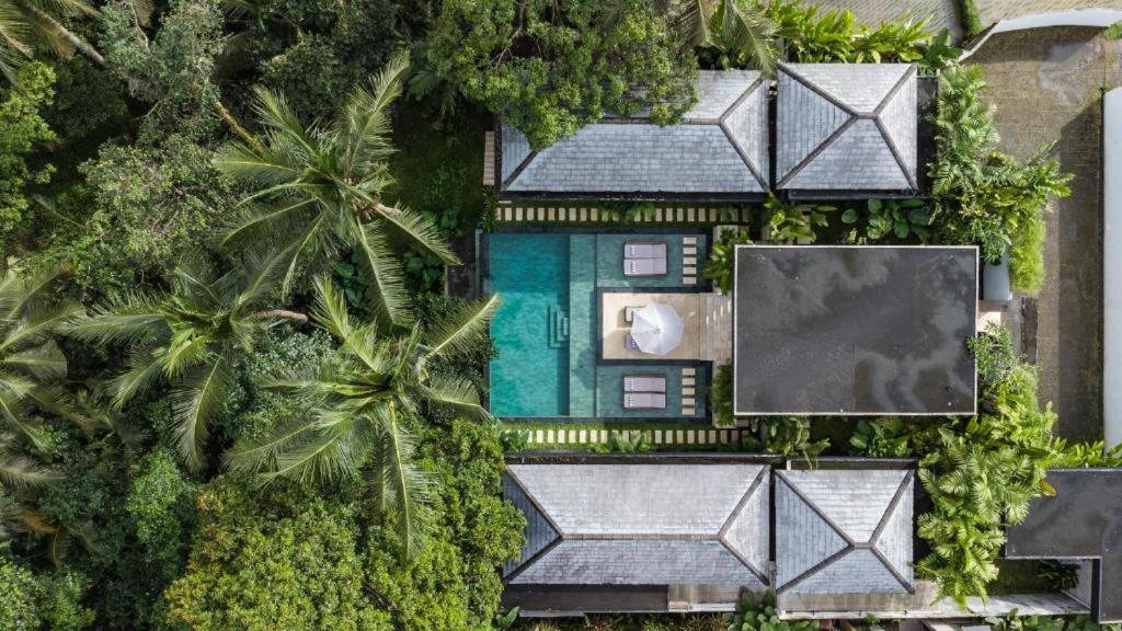 Luxury Escape 6 Bedroom Tropical Private Villa Cyn 우붓 외부 사진